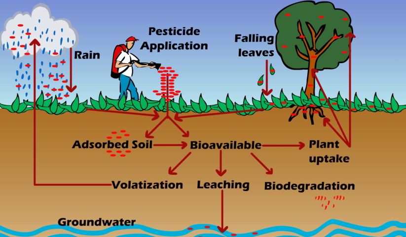 sort of pollutant